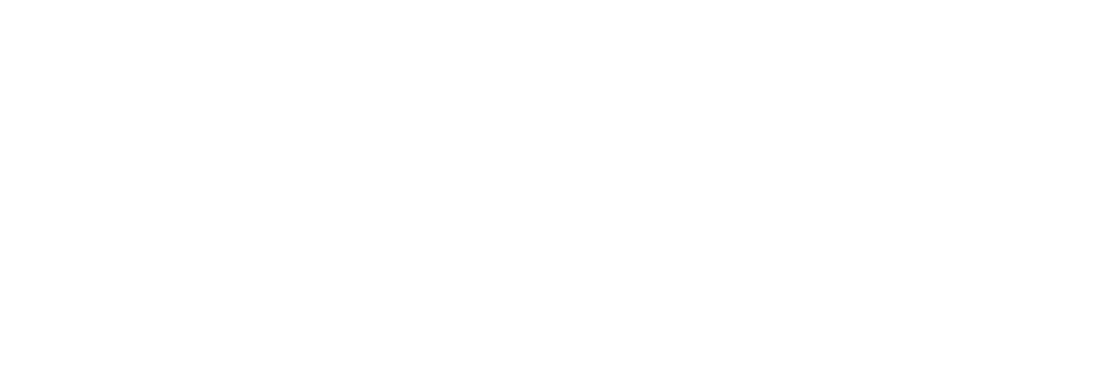 INS Marketing Systems